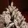 Northwind Snow-Covered Christmas Tree  240 CM - დათოვლილი ნაძვის ხე, 10 image