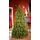 Christmas Tree PE 180 CM Green  - ნაძვის ხე 100% სილიკონი, 2 image