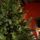 Christmas Tree PE + PVC 240 CM - ნაძვის ხე შერეული სილიკონის წიწვებით, 4 image