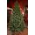Christmas Tree PE + PVC 240 CM - ნაძვის ხე შერეული სილიკონის წიწვებით