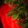 Grace Slim Christmas Tree PE 240CM 100 % Silicone Needle - ნაძვის ხე 100% სილიკონი, 5 image
