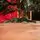 Lidia Green Christmas Tree PVC 200 CM - ნაძვის ხე, 12 image