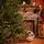 Christmas Tree Grace 100% Silicone Needle PE 250 CM - ნაძვის ხე 100% სილიკონის წიწვებით, 12 image