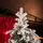 Winter Wonder Snow-Covered Christmas Tree 240 CM With Pine Cones საახალწლო ნაძვის ხე დათოვლილი ტოტებით და გირჩით 240  სმ (OT2084), 3 image