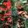 Christmas Tree PE+PVC 240 CM Green - ნაძვის ხე შერეული სილიკონის წიწვებით, 6 image