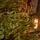 Christmas Tree 100 % Silicone Needle 220 CM - ნაძვის ხე 100% სილიკონი, 11 image