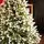 Christmas Tree With Lights 180 CM PE+PVC საახალწლო ნაძვის ხე, შერეული სილიკონის წიწვებით და განათებით, 10 image