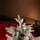 Snow-Covered Christmas Tree With Lights საახალწლო ნაძვის ხე დათოვლილი ტოტებით და განათებით 240 სმ, 3 image