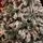 Pure Snow Christmas Tree With Lights 240 CM Snow-Covered ნაძვის ხე დათოვლილი ტოტებით და განათებით, 11 image