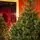 Christmas Tree Lamelia With Mixed Silicone Needle 180 CM - ნაძვის ხე შერეული სილიკონის წიწვებით, 15 image