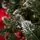 Lidiya Green Christmas Tree With White Tips PVC 250CM - ნაძვის ხე თეთრი ბოლოებით, 10 image