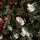 Christmas Tree With Pine Cones საახალწლო ნაძვის ხე გირჩებით 210  სმ, 6 image