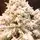 Snow-Covered Christmas Tree With Cones And Berries საახალწლო ნაძვის ხე შერეული დათოვლილი სილიკონის წიწვებით, გირჩით და კენკრით  210 სმ (OT2020), 4 image