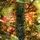 Holandiia Christmas Tree With Olive Tips PE 210 CM საახალწლო ნაძვის ხე, 100% სილიკონი, 15 image