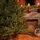 Christmas Tree Edelweiss Luxe With 100% Silicone Needle 260 CM - ნაძვის ხე 100% სილიკონის წიწვებით, 9 image