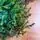 Christmas Tree PE+PVC 180 CM Green - ნაძვის ხე შერეული სილიკონის წიწვებით, 6 image