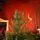 Christmas Tree Lamelia With Mixed Silicone Needle 180 CM - ნაძვის ხე შერეული სილიკონის წიწვებით, 3 image