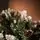 Christmas Tree With Pine Cones საახალწლო ნაძვის ხე გირჩებით 270 სმ, 9 image