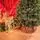 Belgian Christmas Tree Green With 100% Silicone PE 210 CM - ნაძვის ხე 100% სილიკონი, 6 image