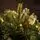 Christmas Tree 210 CM With Pine Cones, Berries And Lights საახალწლო ნაძვის ხე სილიკონის წიწვებით და განათებით, 7 image