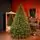 Christmas Tree Grand Wide 100 % Silicone Needle 260 CM - ნაძვის ხე 100% სილიკონი