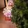 Christmas Tree Lamelia With Mixed Silicone Needle 180 CM - ნაძვის ხე შერეული სილიკონის წიწვებით, 6 image