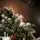 Christmas Tree With Pine Cones საახალწლო ნაძვის ხე გირჩებით 210  სმ, 8 image