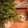 Christmas Tree Grace 100% Silicone Needle PE 210 CM - ნაძვის ხე 100% სილიკონის წიწვებით, 5 image