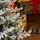 Snow-Covered Christmas Tree PE+PVC 210 CM - დათოვლილი ნაძვის ხე შერეული სილიკონის წიწვებით, 6 image