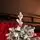 Viennese Snow-Covered Christmas Tree PE 250 CM  დათოვლილი ნაძვის ხე 100% სილიკონი, 3 image