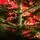 Diamant Green Christmas Tree With Mixed Silicone Needle And Red Viburnum Berries PE+ PVC 220CM - ნაძვის ხე შერეული სილიკონის წიწვებით და კენკრით, 12 image