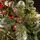 Lidia Green Christmas Tree With White Tips, Pine Cones And Berries PVC 220CM - ნაძვის ხე თეთრი ბოლოებით, გირჩით და კენკრით, 8 image