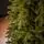 Christmas Tree Grand Wide 100 % Silicone Needle 260 CM - ნაძვის ხე 100% სილიკონი, 8 image
