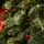 Kovalivian Christmas Tree Green With 100% Silicone PE 250 CM - ნაძვის ხე 100% სილიკონი, 4 image