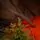 Christmas Tree Edelweiss Luxe With 100% Silicone Needle 260 CM - ნაძვის ხე 100% სილიკონის წიწვებით, 5 image