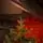 Christmas Tree Grace 100% Silicone Needle PE 250 CM - ნაძვის ხე 100% სილიკონის წიწვებით, 4 image