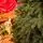 Belgian Christmas Tree Green With 100% Silicone PE 210 CM - ნაძვის ხე 100% სილიკონი, 11 image