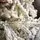 Viennese Snow-Covered Christmas Tree PE 250 CM  დათოვლილი ნაძვის ხე 100% სილიკონი, 13 image