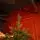 Christmas Tree Grace 100% Silicone Needle PE 210 CM - ნაძვის ხე 100% სილიკონის წიწვებით, 3 image