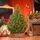 Christmas Tree Lamelia With Mixed Silicone Needle 180 CM - ნაძვის ხე შერეული სილიკონის წიწვებით