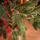 Premium Christmas Tree PE 220 CM ნაძვის ხე 100% სილიკონი, 4 image