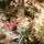 Snow-Covered Christmas Tree With Cones And Berries საახალწლო ნაძვის ხე შერეული დათოვლილი სილიკონის წიწვებით, გირჩით და კენკრით  210 სმ (OT2020), 8 image