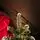 Lidia Green Christmas Tree With White Tips, Pine Cones And Berries PVC 220CM - ნაძვის ხე თეთრი ბოლოებით, გირჩით და კენკრით, 3 image
