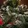 Lidiya Green Christmas Tree With White Tips PVC 250CM - ნაძვის ხე თეთრი ბოლოებით, 5 image