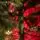 Premium Christmas Tree PE 220 CM ნაძვის ხე 100% სილიკონი, 12 image