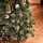 Lidia Green Christmas Tree With White Tips, Pine Cones And Berries PVC 220CM - ნაძვის ხე თეთრი ბოლოებით, გირჩით და კენკრით, 12 image