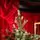 Scandinavian Christmas Tree PE 210 CM  With Blue Tips  საახალწლო ნაძვის ხე 100% სილიკონი, 3 image