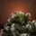 Lidiya Green Christmas Tree With White Tips PVC 250CM - ნაძვის ხე თეთრი ბოლოებით, 6 image