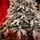 Angel Glow Christmas Tree 210 CM With Pine Cones And Lights, PE + PVC Snow-Covered ნაძვის ხე სილიკონის შერეული ტოტებით, გირჩით და განათებით, 6 image
