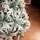 Christmas Tree With Berries PE + PVC 210 CM Snow-Covered - დათოვლილი ნაძვის ხე შერეული სილიკონის წიწვებით და კენკრით, 13 image